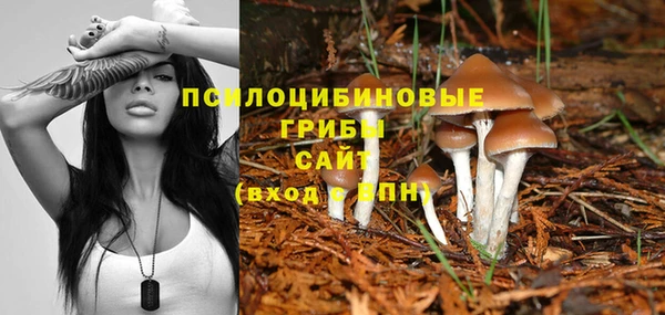 соль ск Алзамай
