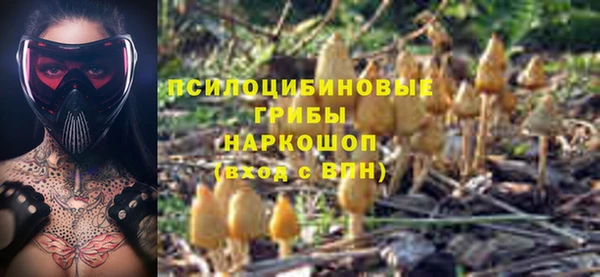 соль ск Алзамай